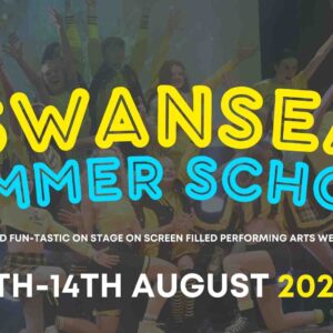 Swansea Summer School
